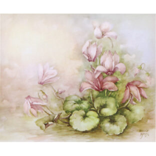 SA50-1239 ソニア・エイムス プリント