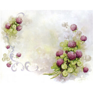 SA50-1259 ソニア・エイムス プリント