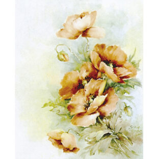 SA50-1267a ソニア・エイムス プリント