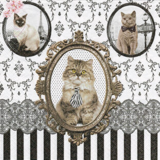 362-9991-05 Pt ペーパーナプキン  2枚入