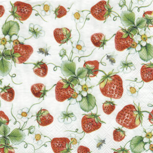 362-0349 ペーパーナプキン 5枚入