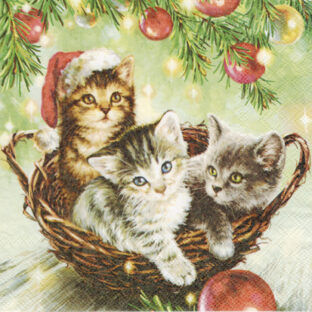 362-9991-20 Pt ペーパーナプキン  2枚入