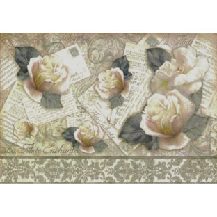 7861-0267  ライスペーパー