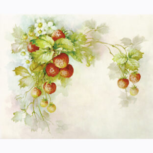 SA50-0031 ソニア・エイムス プリント