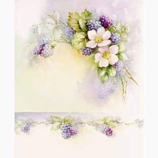 SA50-0049 ソニア・エイムス プリント