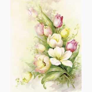 SA50-0060 ソニア・エイムス プリント