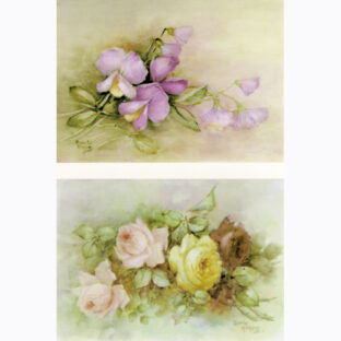 SA50-0097 ソニア・エイムス プリント