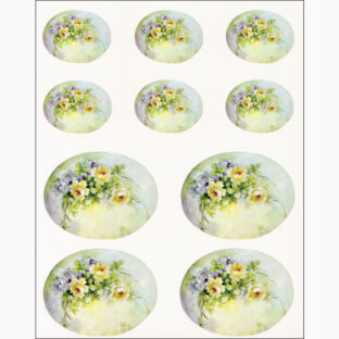 SA50-0214 ソニア・エイムス プリント