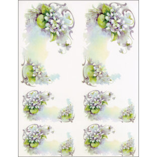 SA50-0218 ソニア・エイムス プリント