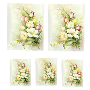 SA50-0227 ソニア・エイムス プリント