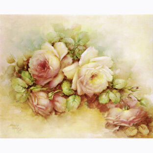 SA50-0084 ソニア・エイムス プリント