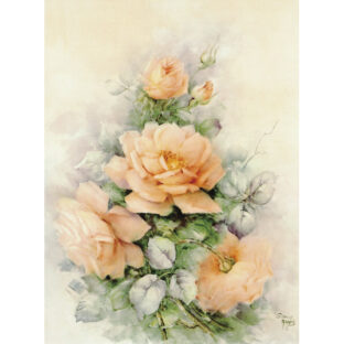 SA50-0107 ソニア・エイムス プリント