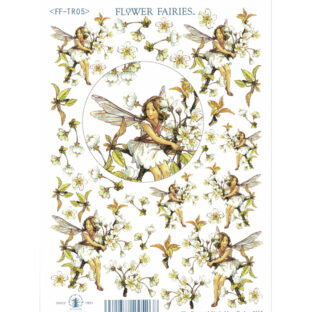 7060-5007 トランスファーシール