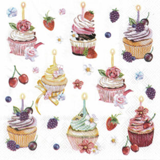 362-0398 ペーパーナプキン 5枚入