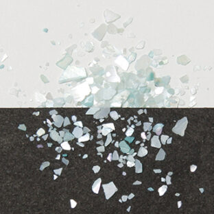 532-6912 らでんフレーク 淡水真珠 PG 2g入