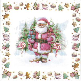 362-0400 ペーパーナプキン 5枚入