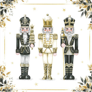 362-0402 ペーパーナプキン 5枚入