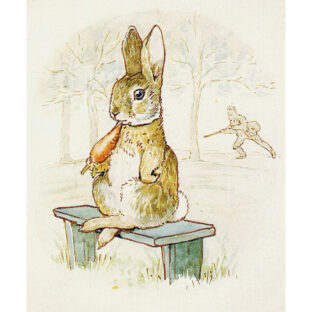 D6509 ピーターラビット プリント