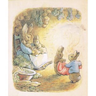 D6514 ピーターラビット プリント