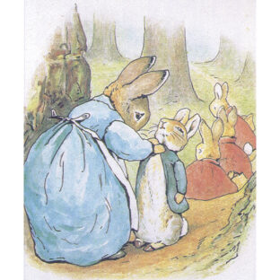 D6586 ピーターラビット プリント